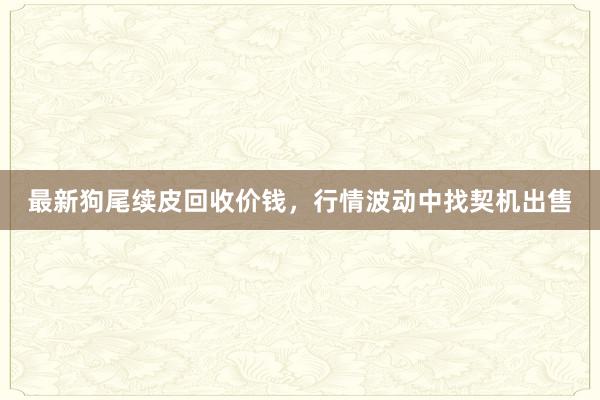 最新狗尾续皮回收价钱，行情波动中找契机出售